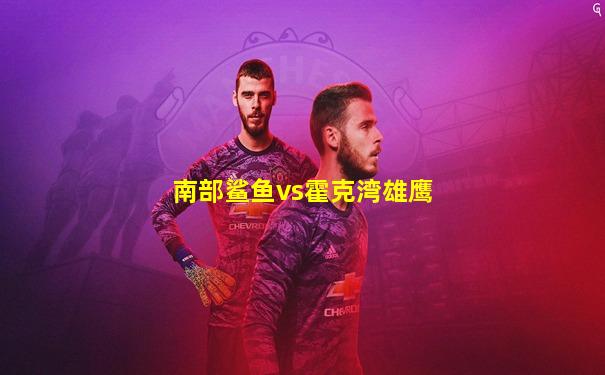 南部鲨鱼vs霍克湾雄鹰