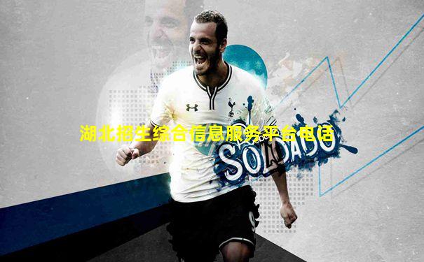湖北招生综合信息服务平台电话